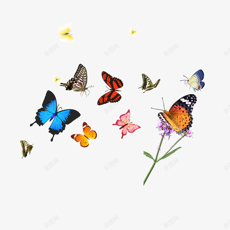 手绘插画蝴蝶png免抠素材_新图网 https://ixintu.com 手绘 插画 昆虫 花蝴蝶 蝴蝶