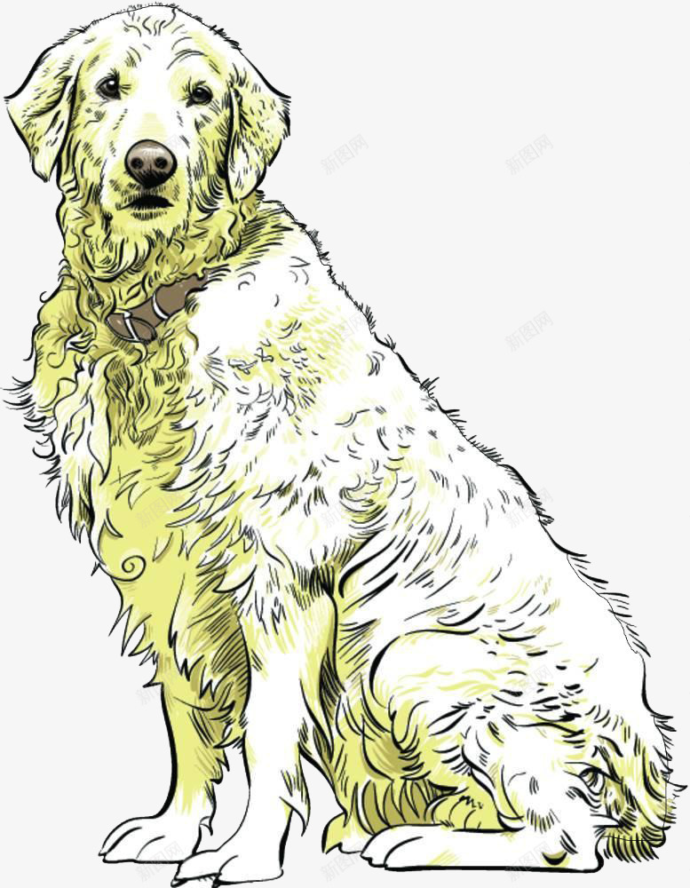 白色导盲犬png免抠素材_新图网 https://ixintu.com 专业导盲犬 卡通导盲犬 可爱导盲犬 大型导盲犬 导盲犬 手绘导盲犬 盲人导盲犬