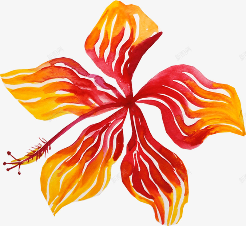 手绘水彩花朵png免抠素材_新图网 https://ixintu.com 手绘花朵 植物 橘红色花朵 花卉 花朵 花瓣