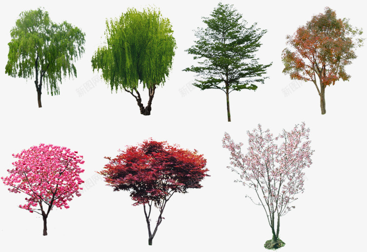 多种植物美景绿化png免抠素材_新图网 https://ixintu.com 多种 植物 绿化 美景