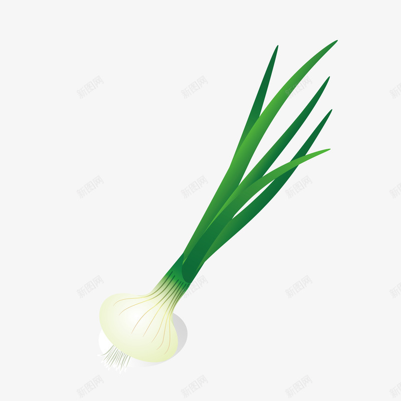 绿色大蒜png免抠素材_新图网 https://ixintu.com 卡通 叶子 大蒜 手绘 植物 水彩 绿叶 食物
