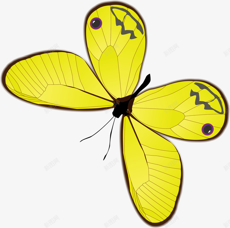 黄色卡通蝴蝶png免抠素材_新图网 https://ixintu.com 动物 卡通蝴蝶 彩色蝴蝶 昆虫 矢量蝴蝶 花蝴蝶 虫 虫子 蝴蝶