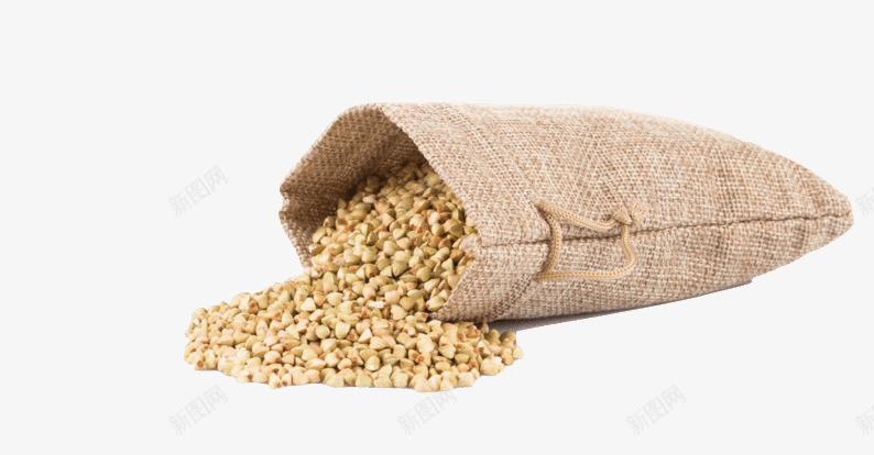 袋子里的苦荞麦粮食png免抠素材_新图网 https://ixintu.com 五谷杂粮 养生 有机杂粮 粗粮 粮食 苦荞麦 荞麦米 袋子 谷物 食材