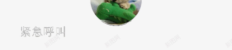 可爱猫咪九键解锁模式png免抠素材_新图网 https://ixintu.com IPHONE锁屏 iPhone锁屏 动物 可爱 爱宠 猫奴 装饰