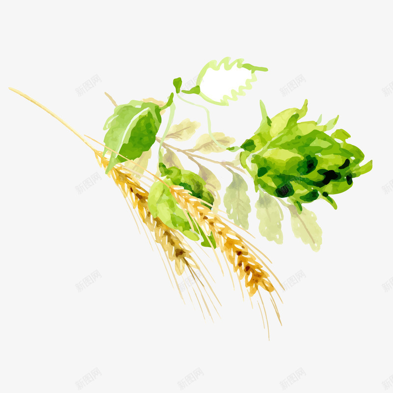 手绘绿色叶子与麦穗png免抠素材_新图网 https://ixintu.com 卡通植物 手绘 树叶 绿色叶子 绿色植物 背景装饰 金色麦穗