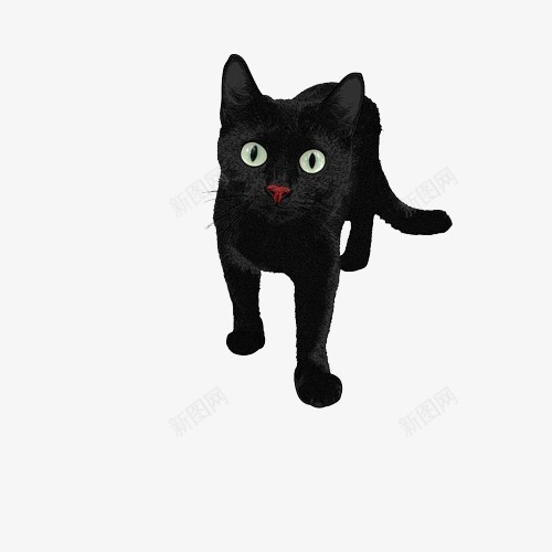 黑色红鼻头猫咪png免抠素材_新图网 https://ixintu.com 动物 卡通手绘 漂浮素材 猫咪