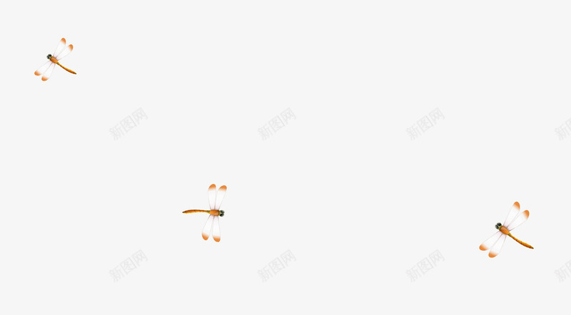 漂浮蜻蜓png免抠素材_新图网 https://ixintu.com 昆虫 漂浮 蜻蜓