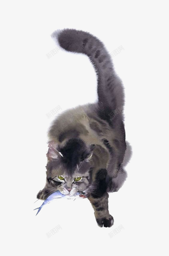灰色猫咪png免抠素材_新图网 https://ixintu.com 宠物猫 手绘猫咪 水彩猫咪 猫咪插画