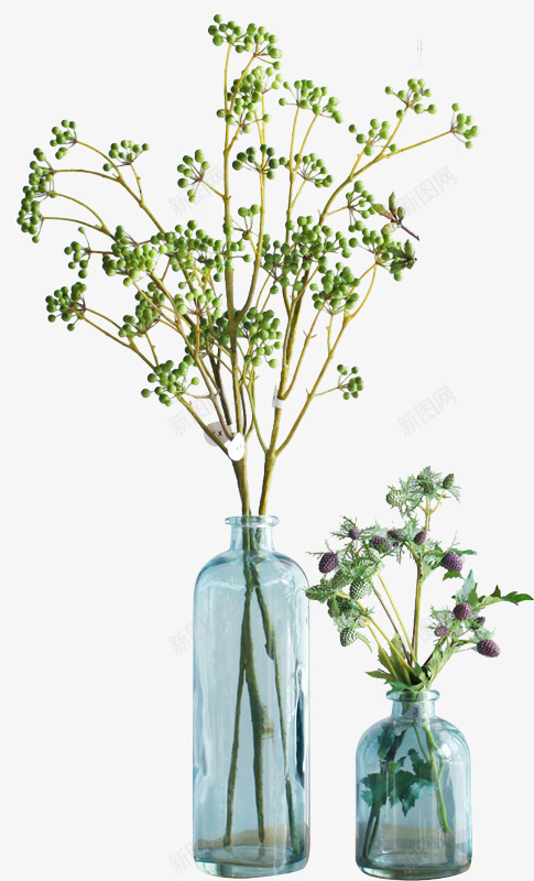 植物树苗绿色效果小清新png免抠素材_新图网 https://ixintu.com 效果 树苗 植物 清新 绿色