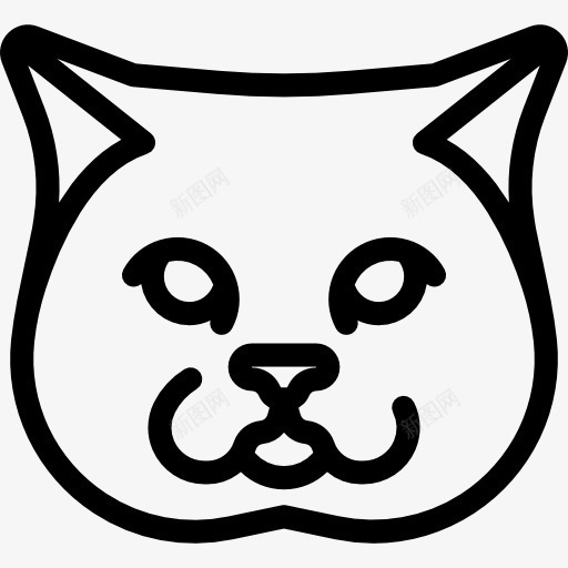 英国短毛猫图标png_新图网 https://ixintu.com 动物 品种 宠物 猫 猫咪