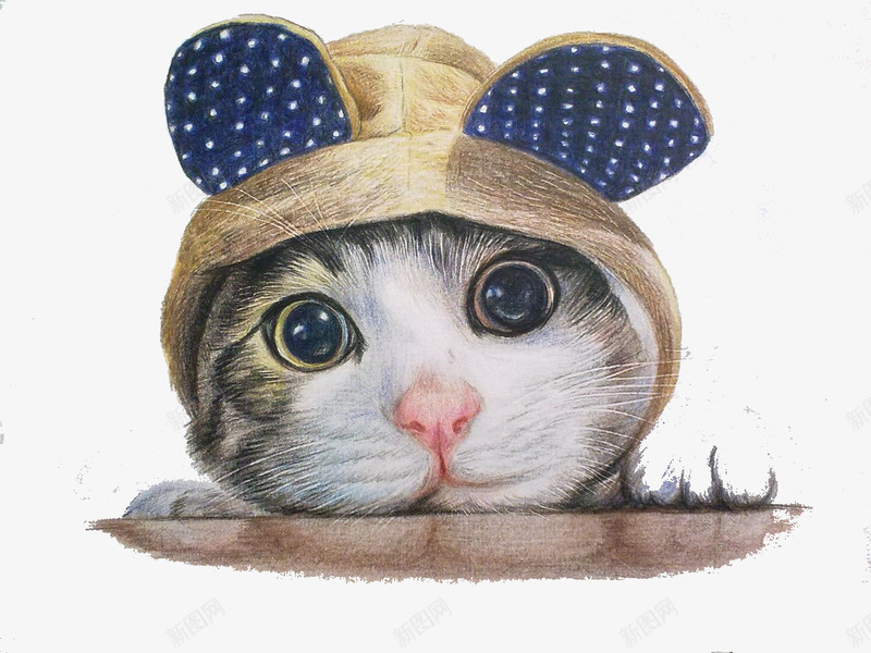 彩铅猫咪png免抠素材_新图网 https://ixintu.com 彩铅猫咪 手绘 猫咪