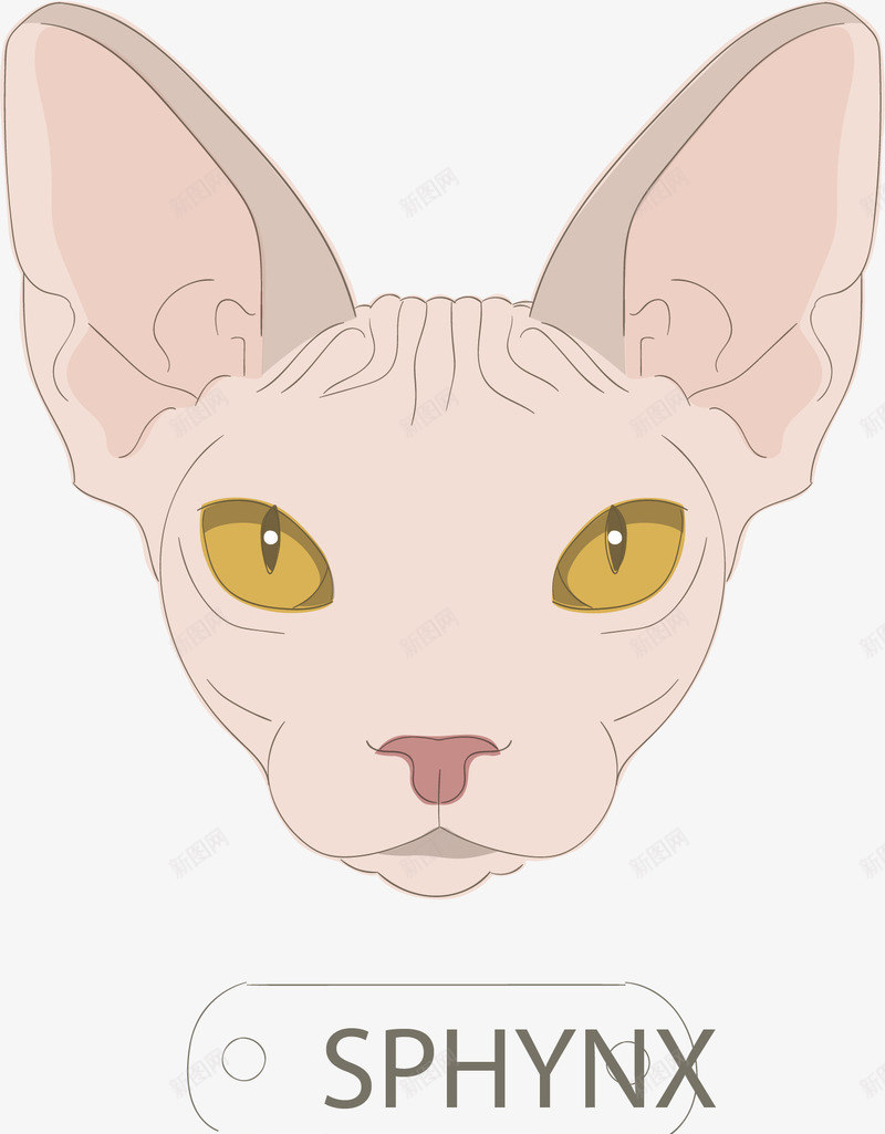 斯芬克斯png免抠素材_新图网 https://ixintu.com 可爱 宠物 手绘 斯芬克斯 无毛猫 猫咪 粉色