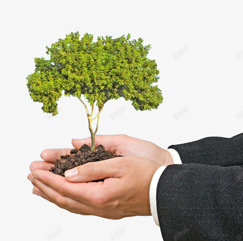 手捧绿树手捧绿植png免抠素材_新图网 https://ixintu.com 双手 手捧绿树 手捧绿植 植树节