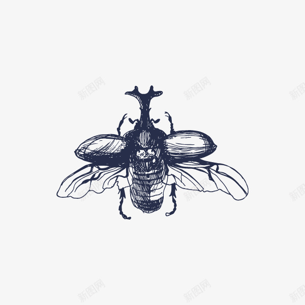 动物昆虫单色黑色矢量图ai免抠素材_新图网 https://ixintu.com 动物昆虫 单色 黑色 矢量图