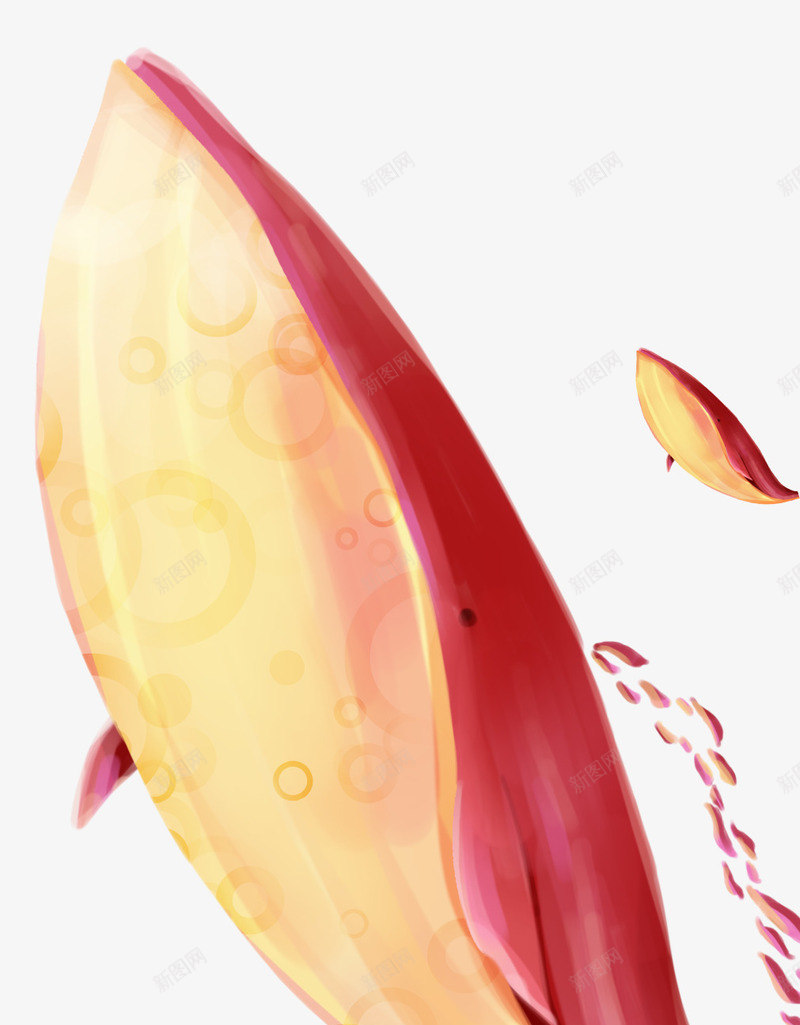 水彩红色鲨鱼简图png免抠素材_新图网 https://ixintu.com 大海 大鲨鱼 小鲨鱼 水彩 海生动物 游来游去