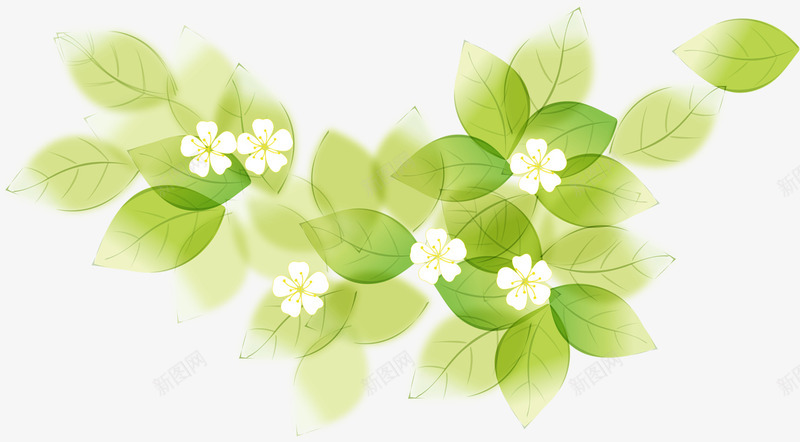 绿色清爽树叶唯美花朵png免抠素材_新图网 https://ixintu.com 树叶 清爽 绿色 花朵