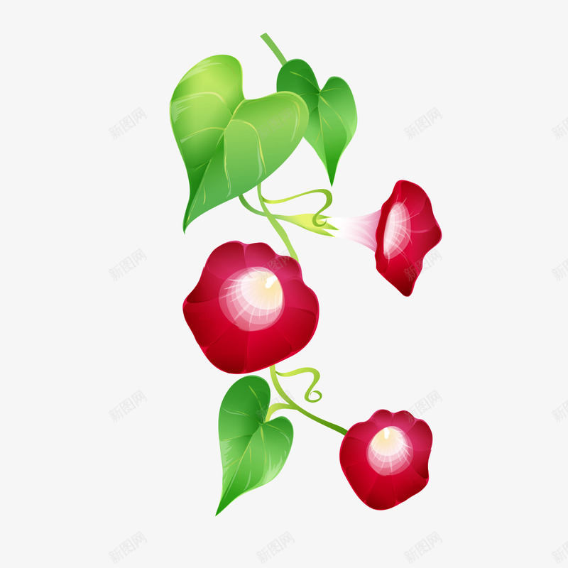 红色喇叭花png免抠素材_新图网 https://ixintu.com 喇叭花 红色 花朵