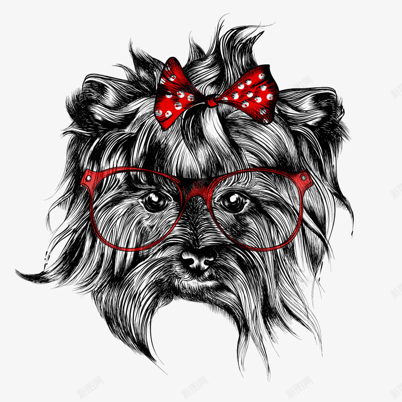 西施犬png免抠素材_新图网 https://ixintu.com 宠物 眼镜 蝴蝶结 铅画
