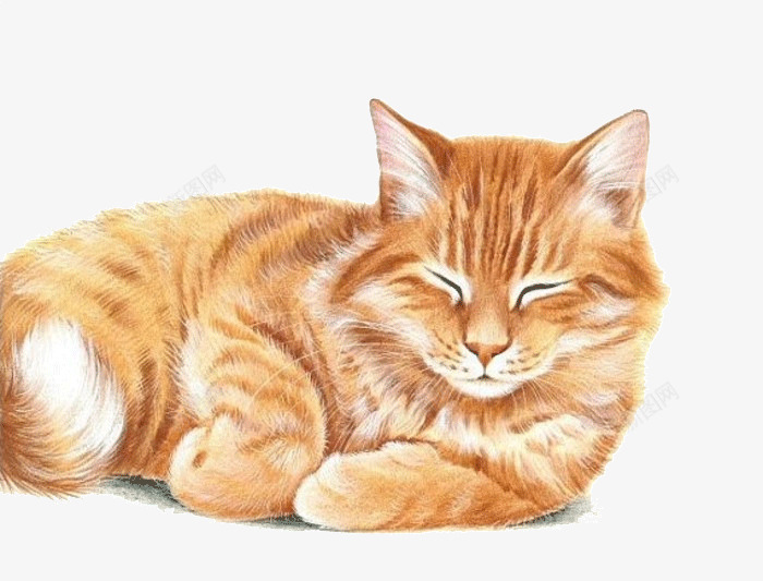 可爱黄色卡通猫咪png免抠素材_新图网 https://ixintu.com 宠物猫 手绘猫咪 水彩猫咪 猫咪 黄色猫咪