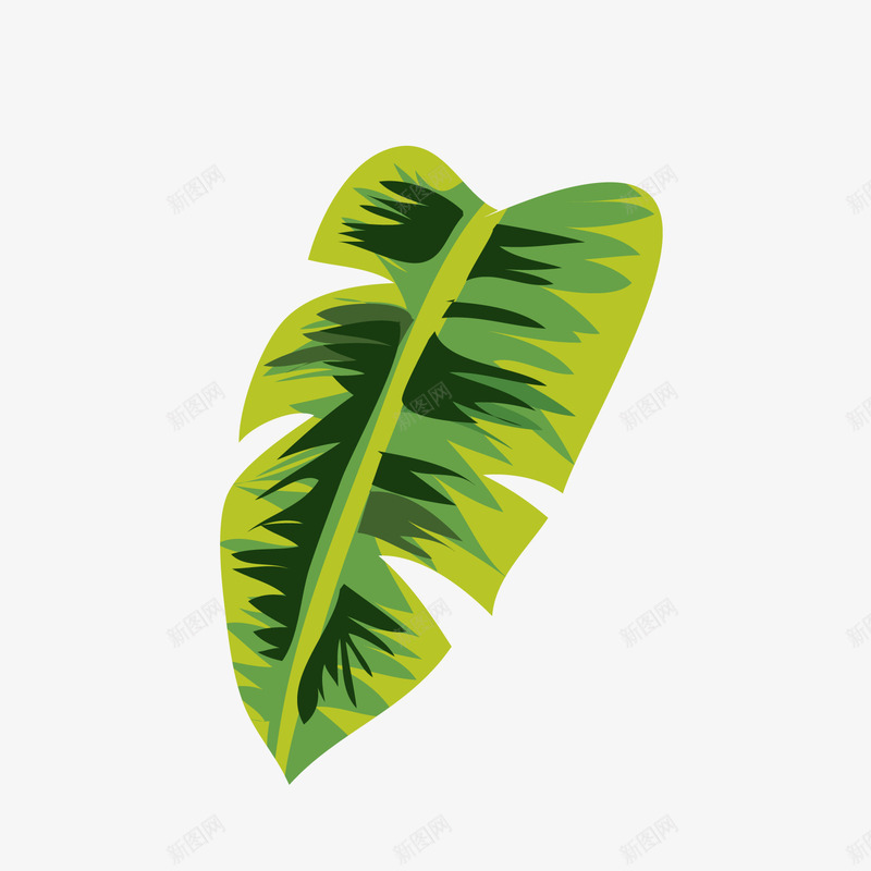 绿色热带植物png免抠素材_新图网 https://ixintu.com 卡通植物 小清新 绿色叶子 背景装饰