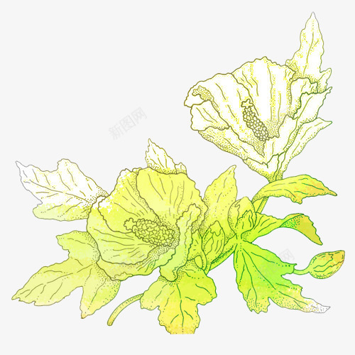 黄色手绘喇叭花png免抠素材_新图网 https://ixintu.com 喇叭花 手绘 黄色