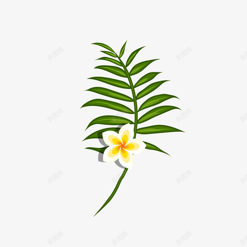 小清新植物叶子鸡蛋花png免抠素材_新图网 https://ixintu.com 卡通植物 小清新植物 白色花朵 绿色植物 鸡蛋花