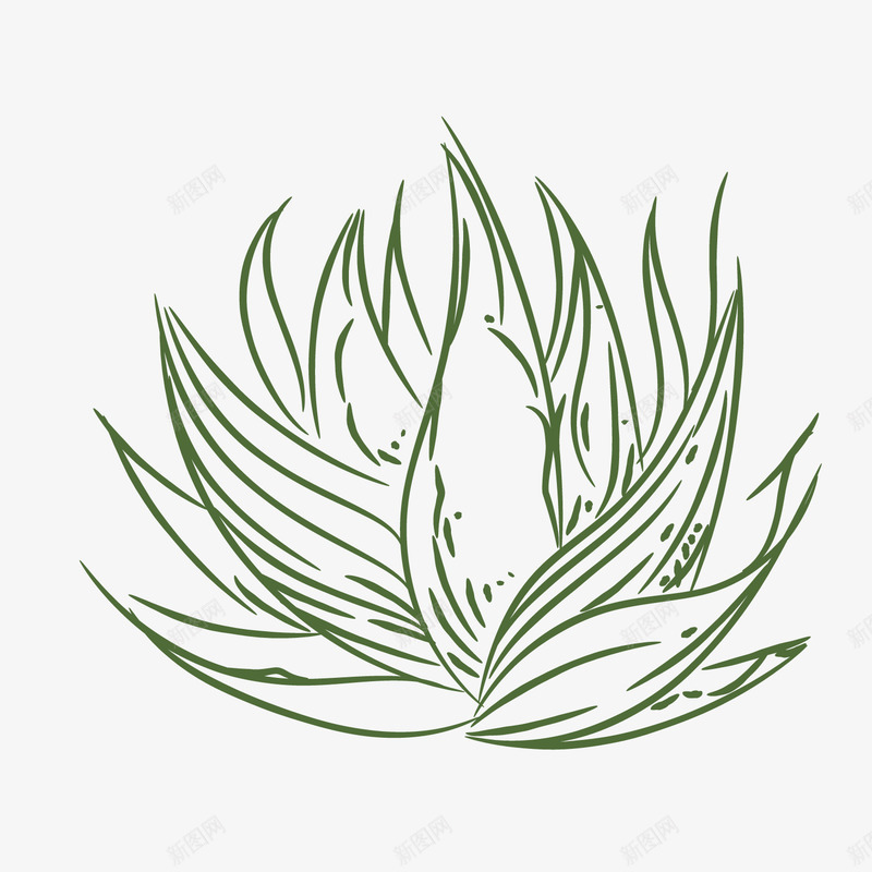 简笔画绿色芦荟png免抠素材_新图网 https://ixintu.com 卡通芦荟 植物 简笔画 绿色芦荟 背景装饰