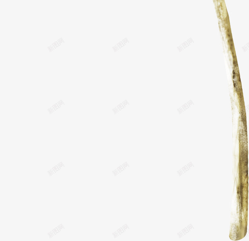创意花卉线描花草png免抠素材_新图网 https://ixintu.com 矢量花卉素材 绿植花卉