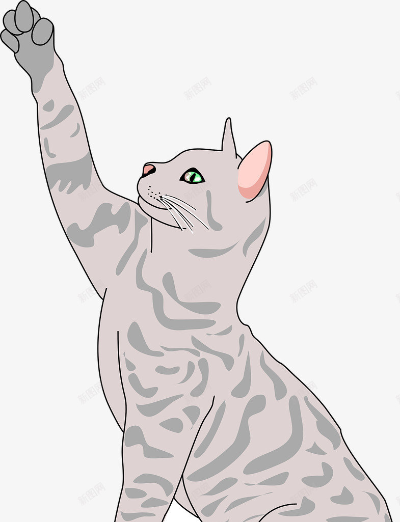 伸出爪子的猫咪png免抠素材_新图网 https://ixintu.com 动物 捕食 爪子 猫咪