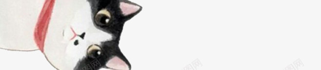 白色可爱手绘猫咪png免抠素材_新图网 https://ixintu.com 可爱 手绘 猫咪 白色