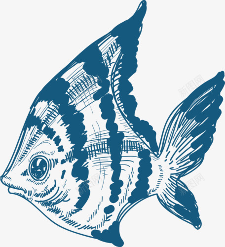 蓝纹小鱼png免抠素材_新图网 https://ixintu.com 卡通 小鱼仔 彩绘 手绘 水底生物蓝纹 热带鱼鱼类 蓝眼 装饰 观赏鱼