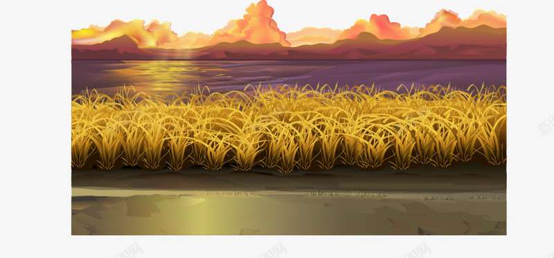 最美的夕阳红png免抠素材_新图网 https://ixintu.com 晚霞 树木风景 树林 植物 美丽风景 自然风光 阳光 风景 麦穗