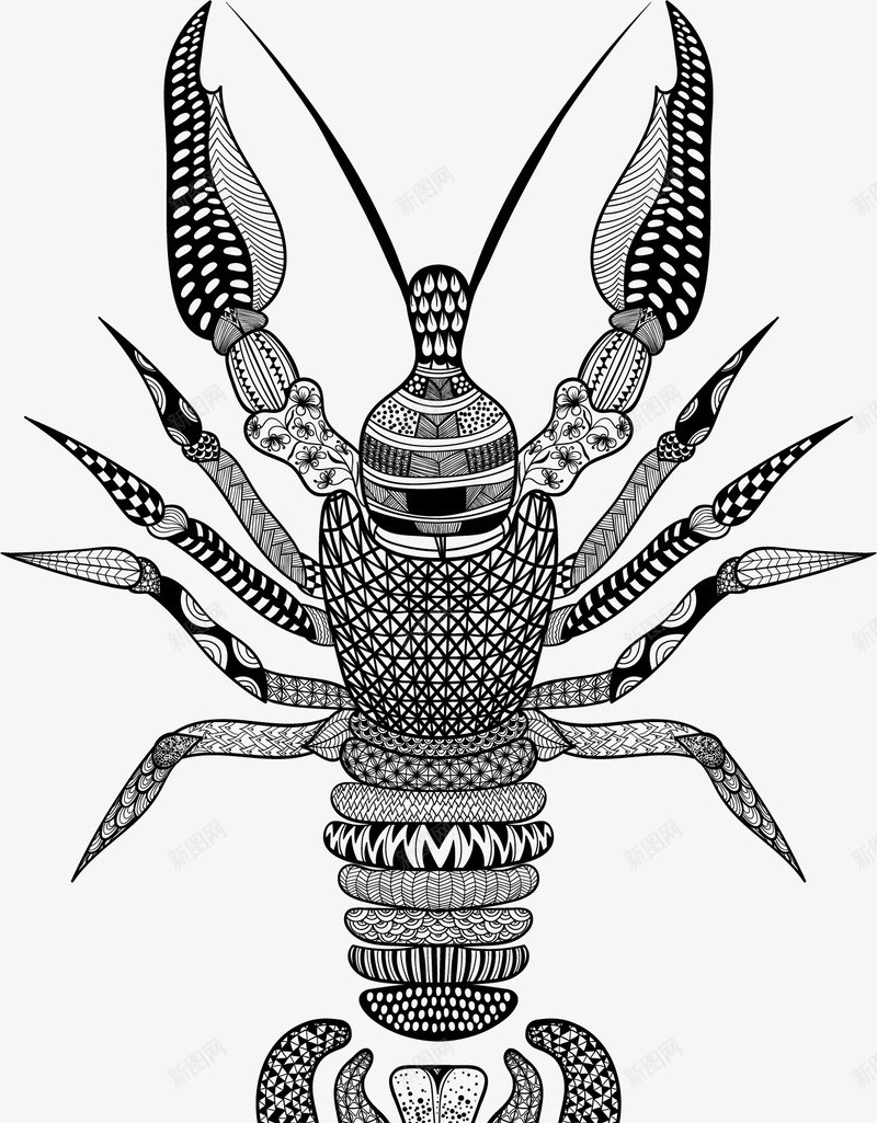 手绘爬虫矢量图ai免抠素材_新图网 https://ixintu.com 手绘 昆虫 爬虫 矢量图