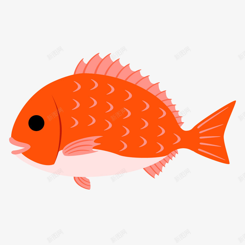 橘色海鱼手绘简图png免抠素材_新图网 https://ixintu.com 卡通 大海 手绘图 橘色海鱼 海鱼 鱼尾 鱼鳍