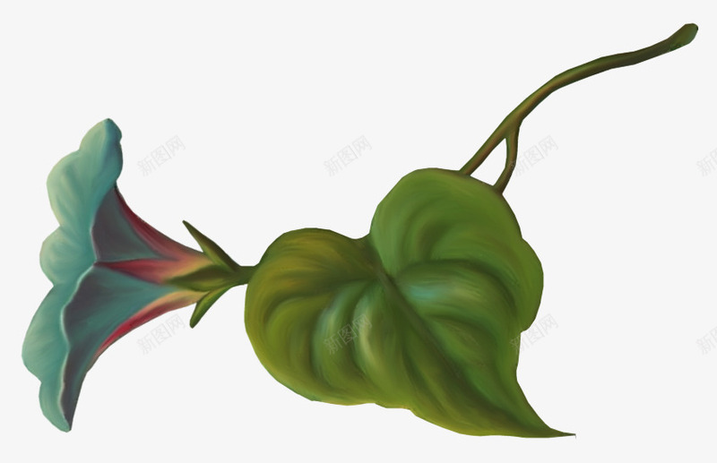 手绘喇叭花png免抠素材_新图网 https://ixintu.com 喇叭花 手绘花 牵牛花 花卉 装饰花