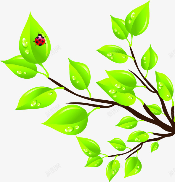 绿色清爽春天树叶瓢虫png免抠素材_新图网 https://ixintu.com 春天 树叶 清爽 瓢虫 绿色