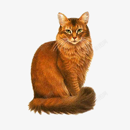 卡通手绘猫咪坐着png免抠素材_新图网 https://ixintu.com 坐着 手绘 猫咪