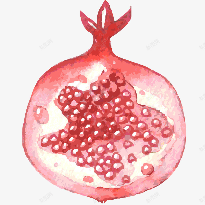 新鲜红石榴水彩插画矢量图ai免抠素材_新图网 https://ixintu.com 免抠PNG 成熟 新鲜红石榴水彩插画 果实 水果 热带水果 石榴 矢量图