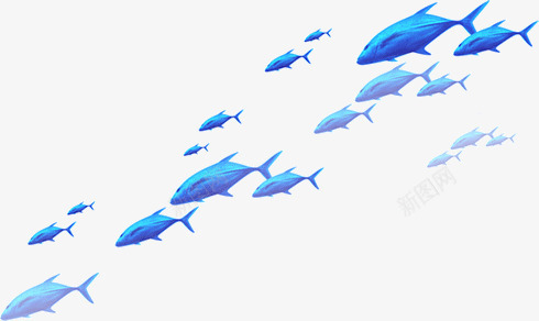 鱼大白鲨鱼热带鱼蓝色png免抠素材_新图网 https://ixintu.com 大白鲨鱼 热带鱼 蓝色 鱼