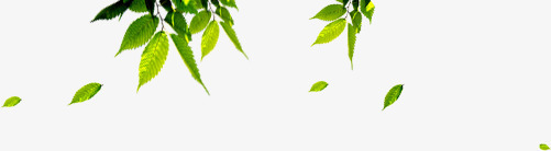 绿色清爽树叶风光美景装饰清新png免抠素材_新图网 https://ixintu.com 树叶 清新 清爽 绿色 美景 装饰 风光