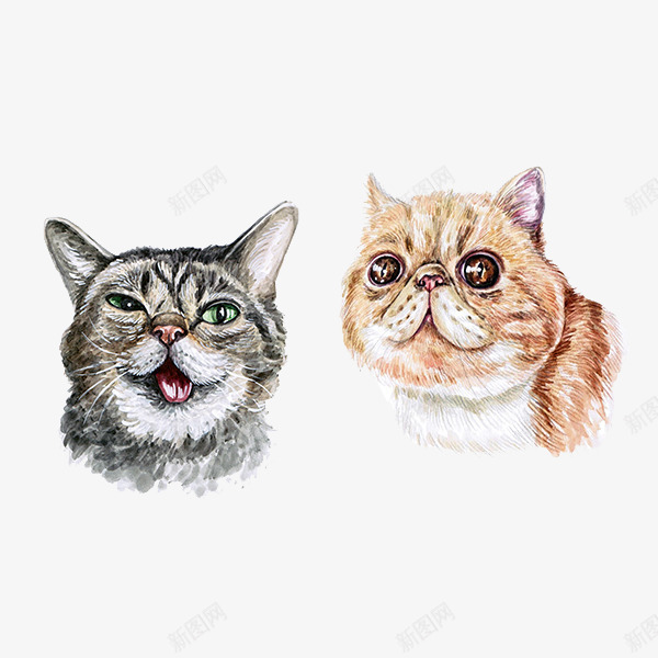 手绘水彩可爱猫咪png免抠素材_新图网 https://ixintu.com 可爱 宠物 手绘 水彩 猫咪