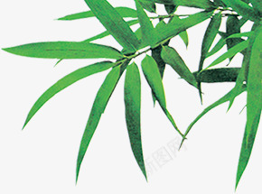 绿色清爽树叶竹叶风光png免抠素材_新图网 https://ixintu.com 树叶 清爽 竹叶 绿色 风光