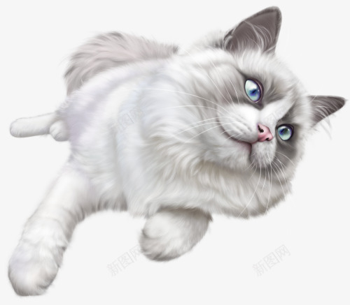 调皮的蓝眼猫咪png免抠素材_新图网 https://ixintu.com 名猫 灰白 猫咪 蓝眼 蓝色