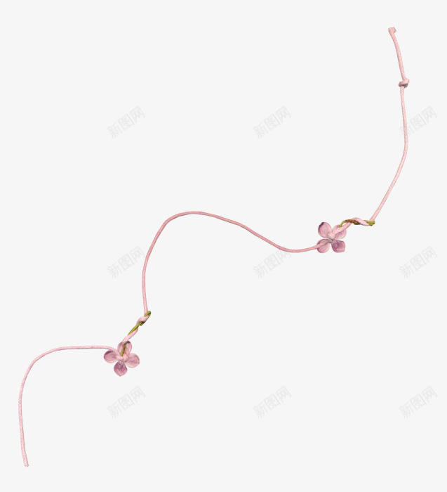 绳子花朵png免抠素材_新图网 https://ixintu.com png素材 绳子 花朵