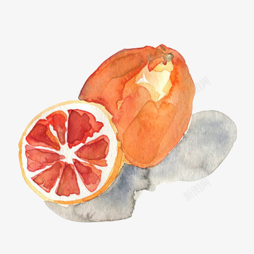 柚子水彩画片png免抠素材_新图网 https://ixintu.com 手绘水果 柚子 橘色 红心柚 蜜柚