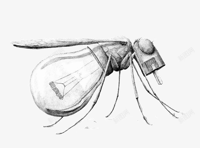 共混物插画灯泡png免抠素材_新图网 https://ixintu.com 共混物 插画 灯泡 艺术 蚊子