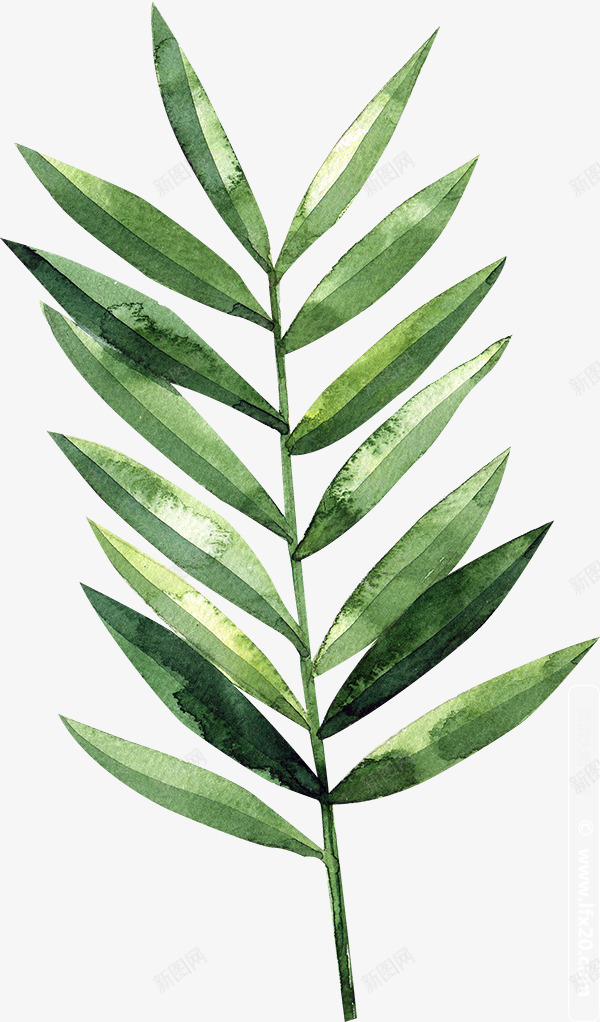 绿色创意版的植物树叶png免抠素材_新图网 https://ixintu.com 创意树叶 叶子 手绘植物 树叶 植物 绿叶 绿植