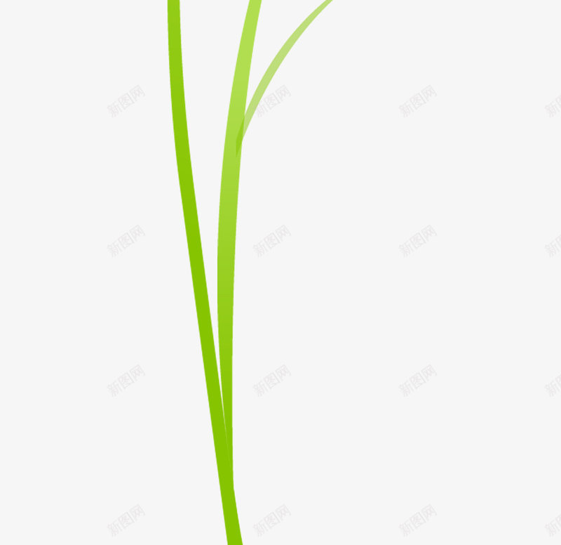 喇叭花白色花朵植物png免抠素材_新图网 https://ixintu.com 喇叭花 植物 白色 花朵