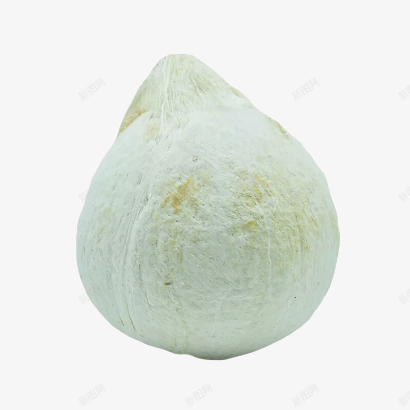 一个椰子png免抠素材_新图网 https://ixintu.com 去皮椰子 椰青 热带水果 美食 食物