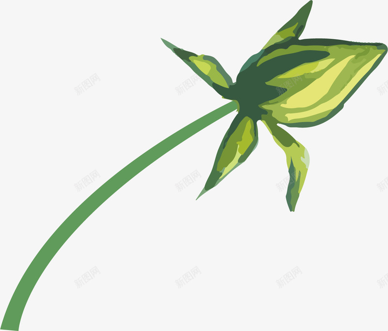 手绘水彩绿色花苞png免抠素材_新图网 https://ixintu.com 叶子 手绘绿叶 树叶 植物 水彩花苞 热带植物 绿叶 花卉植物 花苞 花苞png